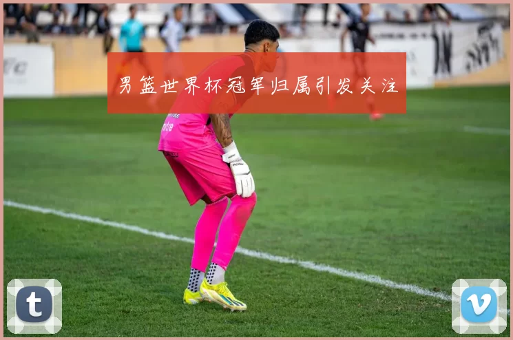 男篮世界杯冠军归属引发关注