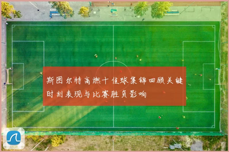斯图尔特高燃十佳球集锦回顾关键时刻表现与比赛胜负影响