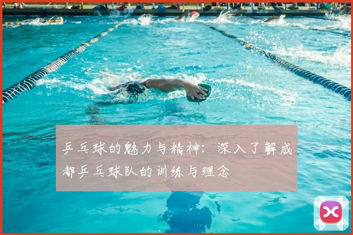 乒乓球的魅力与精神：深入了解成都乒乓球队的训练与理念