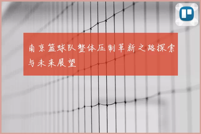南京篮球队整体压制革新之路探索与未来展望