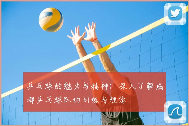 乒乓球的魅力与精神：深入了解成都乒乓球队的训练与理念