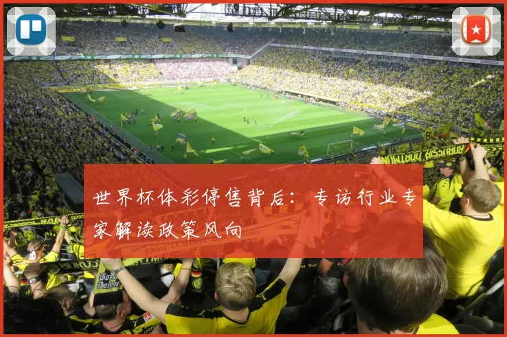 世界杯体彩停售背后:专访行业专家解读政策风向