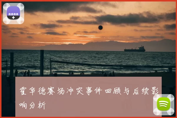 霍华德赛场冲突事件回顾与后续影响分析