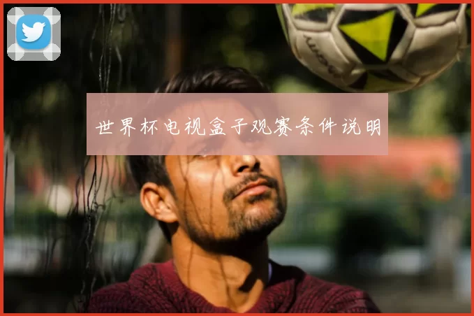 世界杯电视盒子观赛条件说明