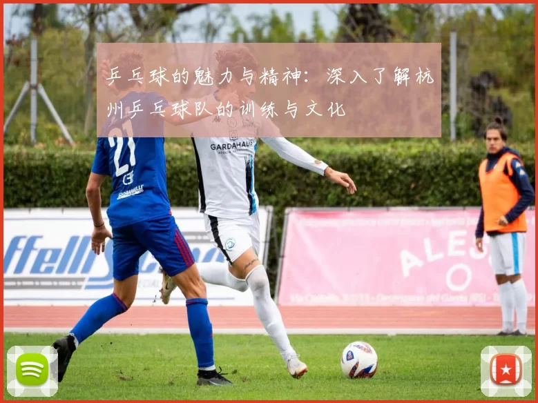 乒乓球的魅力与精神：深入了解杭州乒乓球队的训练与文化