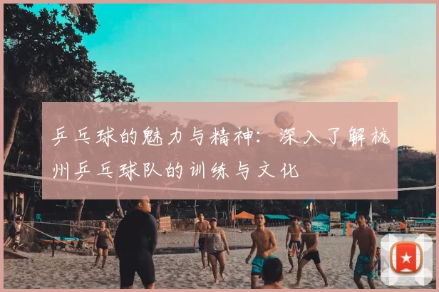 乒乓球的魅力与精神：深入了解杭州乒乓球队的训练与文化