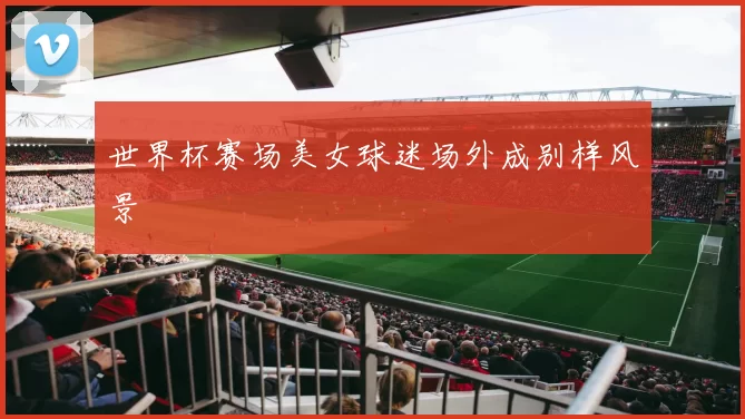 世界杯赛场美女球迷场外成别样风景