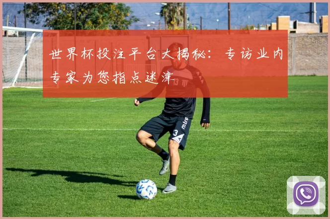 世界杯投注平台大揭秘:专访业内专家为您指点迷津