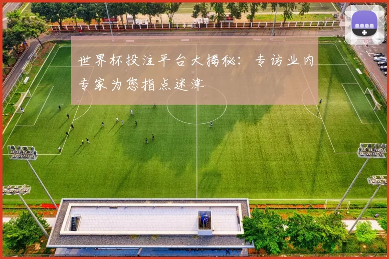 世界杯投注平台大揭秘:专访业内专家为您指点迷津
