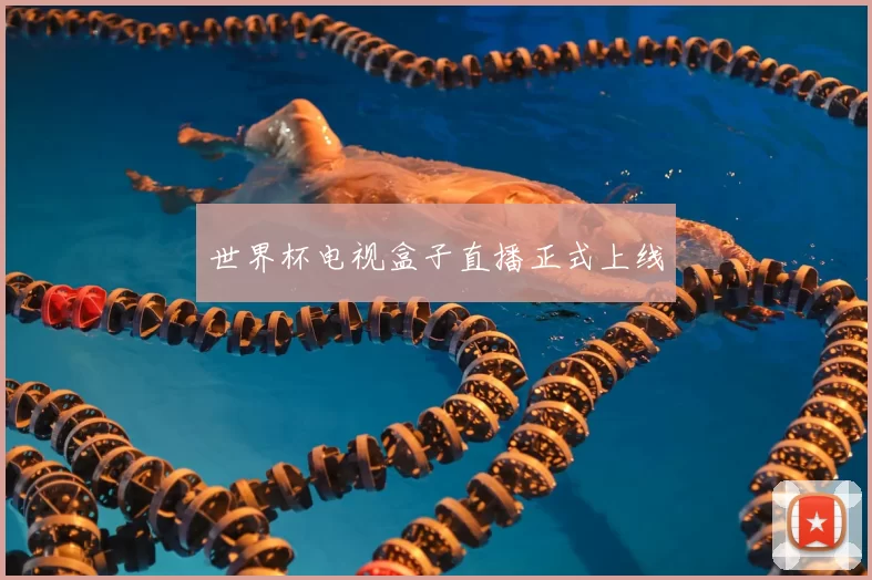 世界杯电视盒子直播正式上线