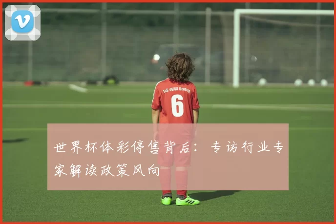 世界杯体彩停售背后:专访行业专家解读政策风向