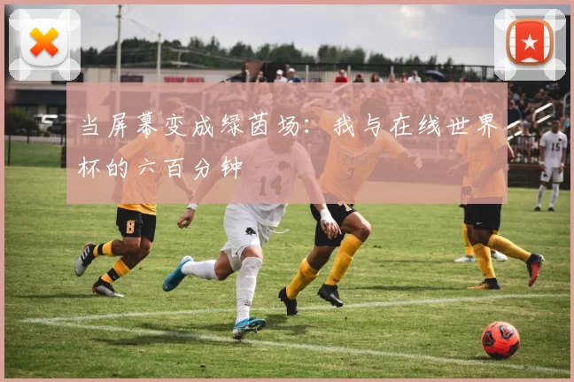当屏幕变成绿茵场:我与在线世界杯的六百分钟