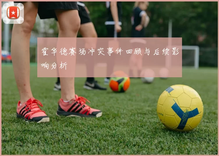 霍华德赛场冲突事件回顾与后续影响分析
